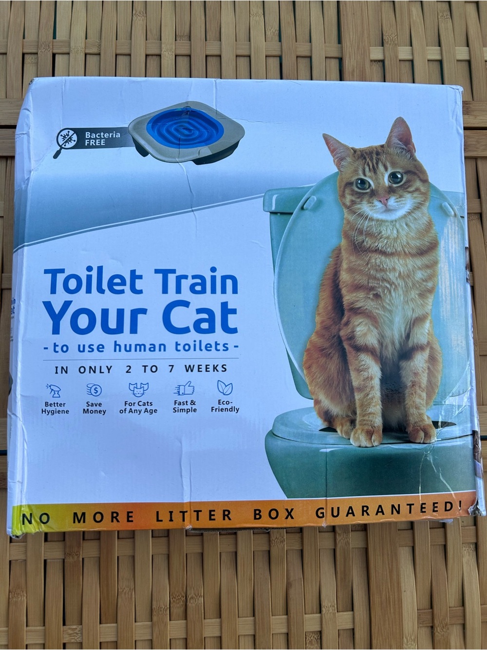 Toilet Train Your Cat - Blue Cat Training Seat